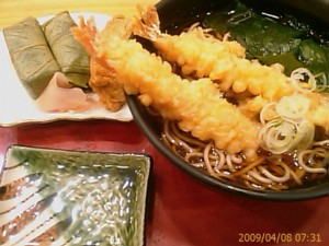 f:id:cry_condor:20090408073127j:image