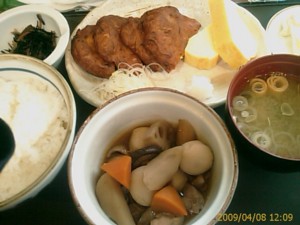 f:id:cry_condor:20090408120953j:image