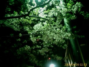 f:id:cry_condor:20090409025355j:image