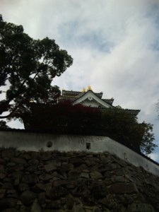 f:id:cry_condor:20091121114043j:image