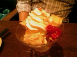 f:id:cry_condor:20091222042808j:image