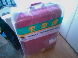 f:id:cry_condor:20091229102210j:image