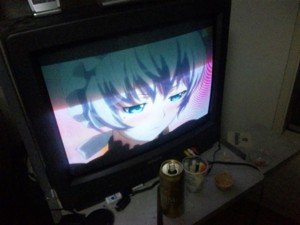 f:id:cry_condor:20100218040407j:image