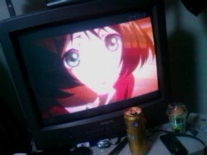 f:id:cry_condor:20100226025727j:image