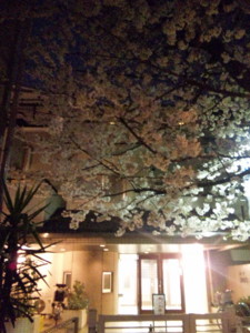 f:id:cry_condor:20100403205609j:image