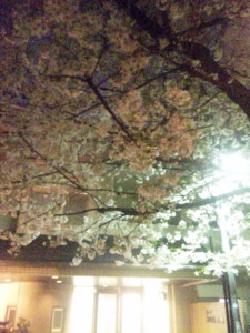 f:id:cry_condor:20100406221414j:image