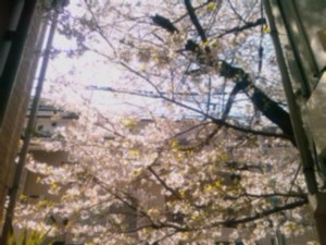 f:id:cry_condor:20100409043221j:image