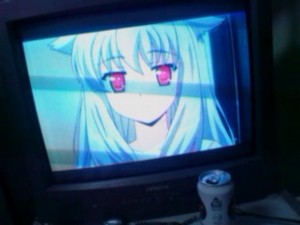 f:id:cry_condor:20100416040902j:image