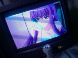 f:id:cry_condor:20100418031847j:image