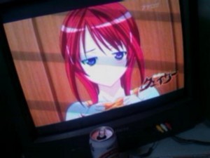 f:id:cry_condor:20100425042403j:image