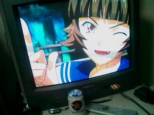 f:id:cry_condor:20100426022419j:image