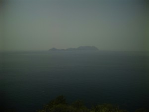 f:id:cry_condor:20100504130600j:image