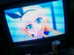 f:id:cry_condor:20101104023737j:image