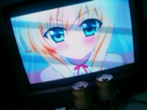 f:id:cry_condor:20101104025129j:image