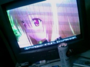 f:id:cry_condor:20101128031728j:image