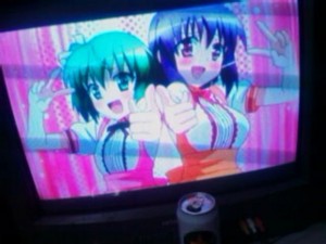 f:id:cry_condor:20101227043650j:image