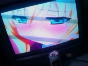 f:id:cry_condor:20101227043728j:image