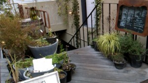 f:id:cry_condor:20110210132524j:image