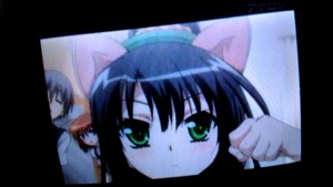 f:id:cry_condor:20110307220134j:image