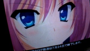 f:id:cry_condor:20110603004957j:image