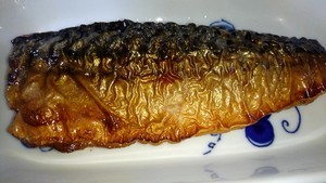 f:id:cry_condor:20190126083905j:image