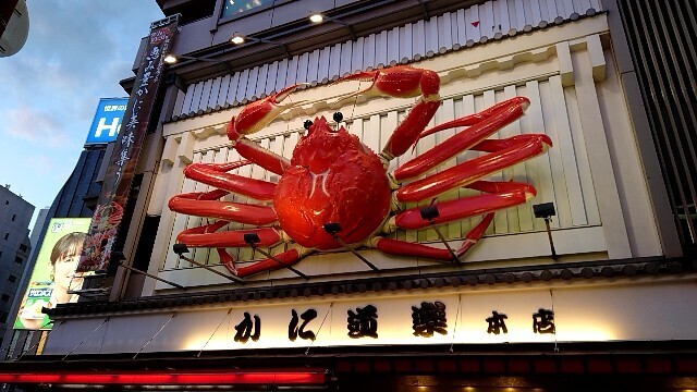 f:id:cry_condor:20240925005801j:image