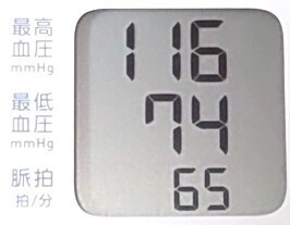 f:id:cry_condor:20250412015426j:image