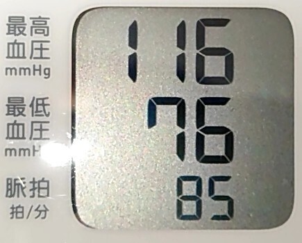 f:id:cry_condor:20251010014820j:image