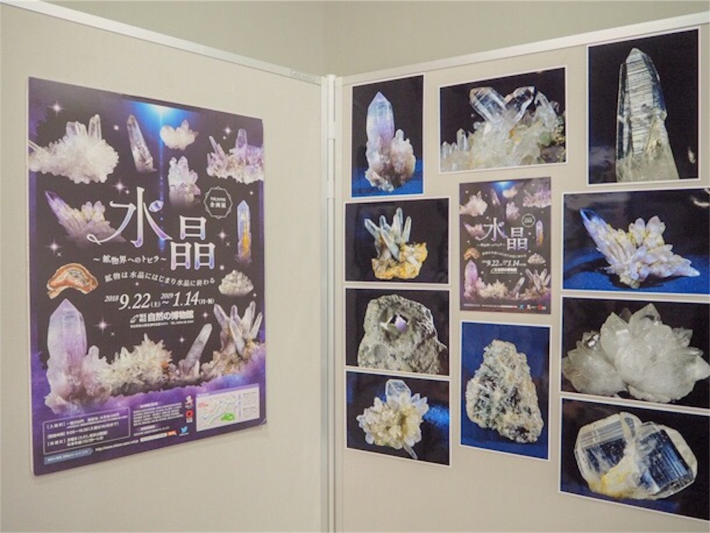 f:id:crystal-of-idea:20190123103357j:image