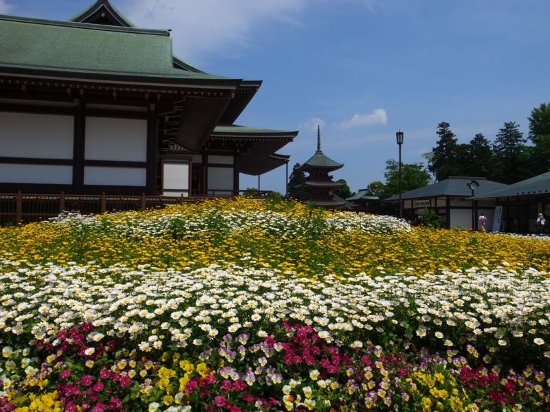 f:id:crystal0207:20150517131801j:plain