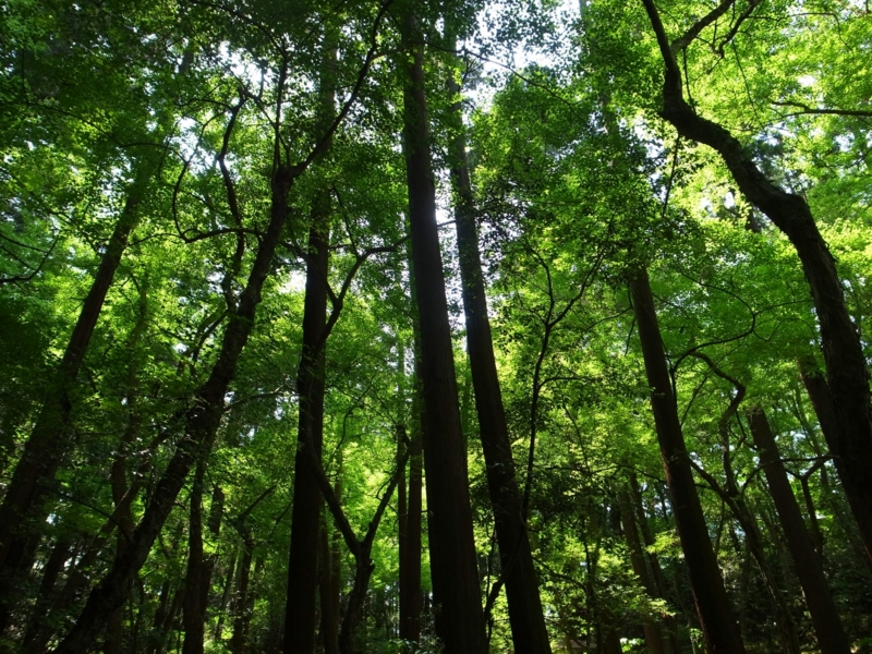 f:id:crystal0207:20150517134117j:plain