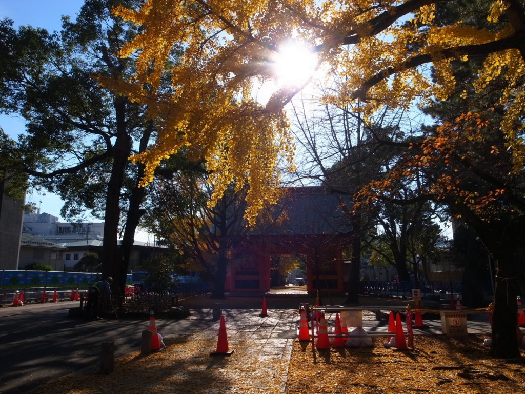 f:id:crystal0207:20161125131739j:plain