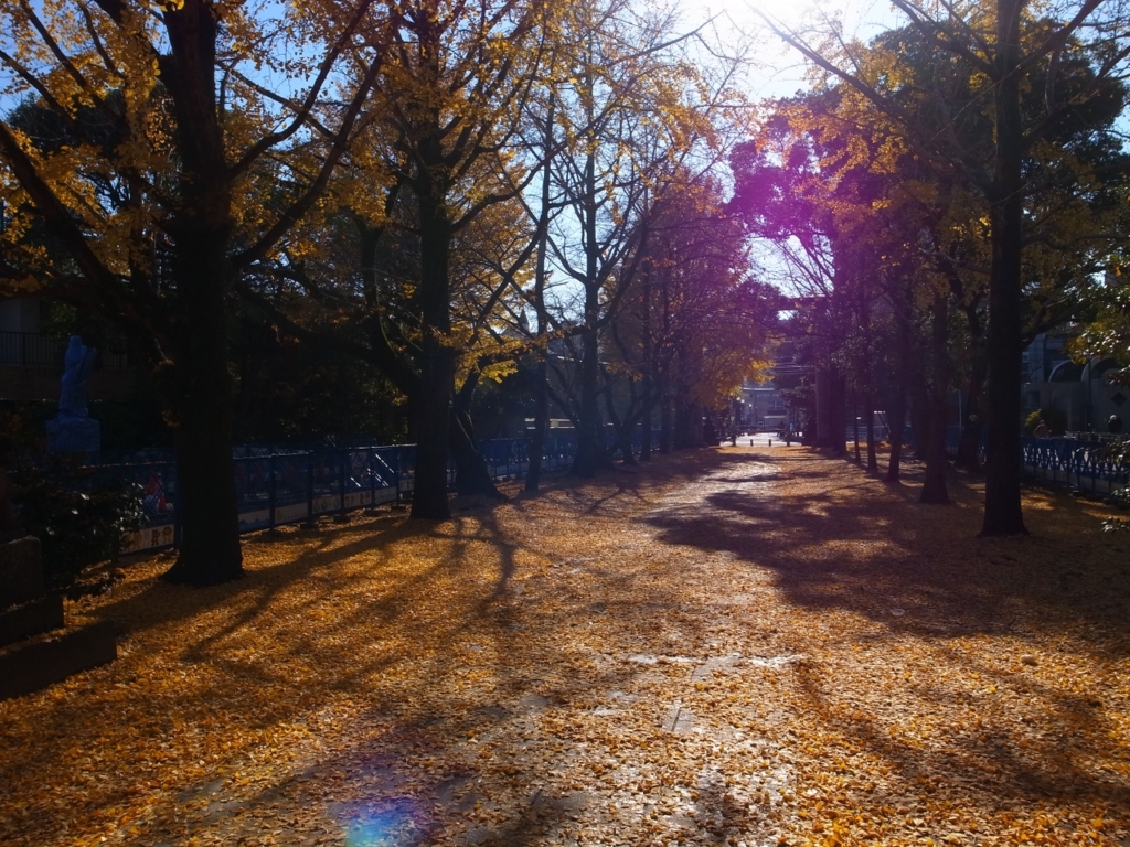 f:id:crystal0207:20161125131856j:plain