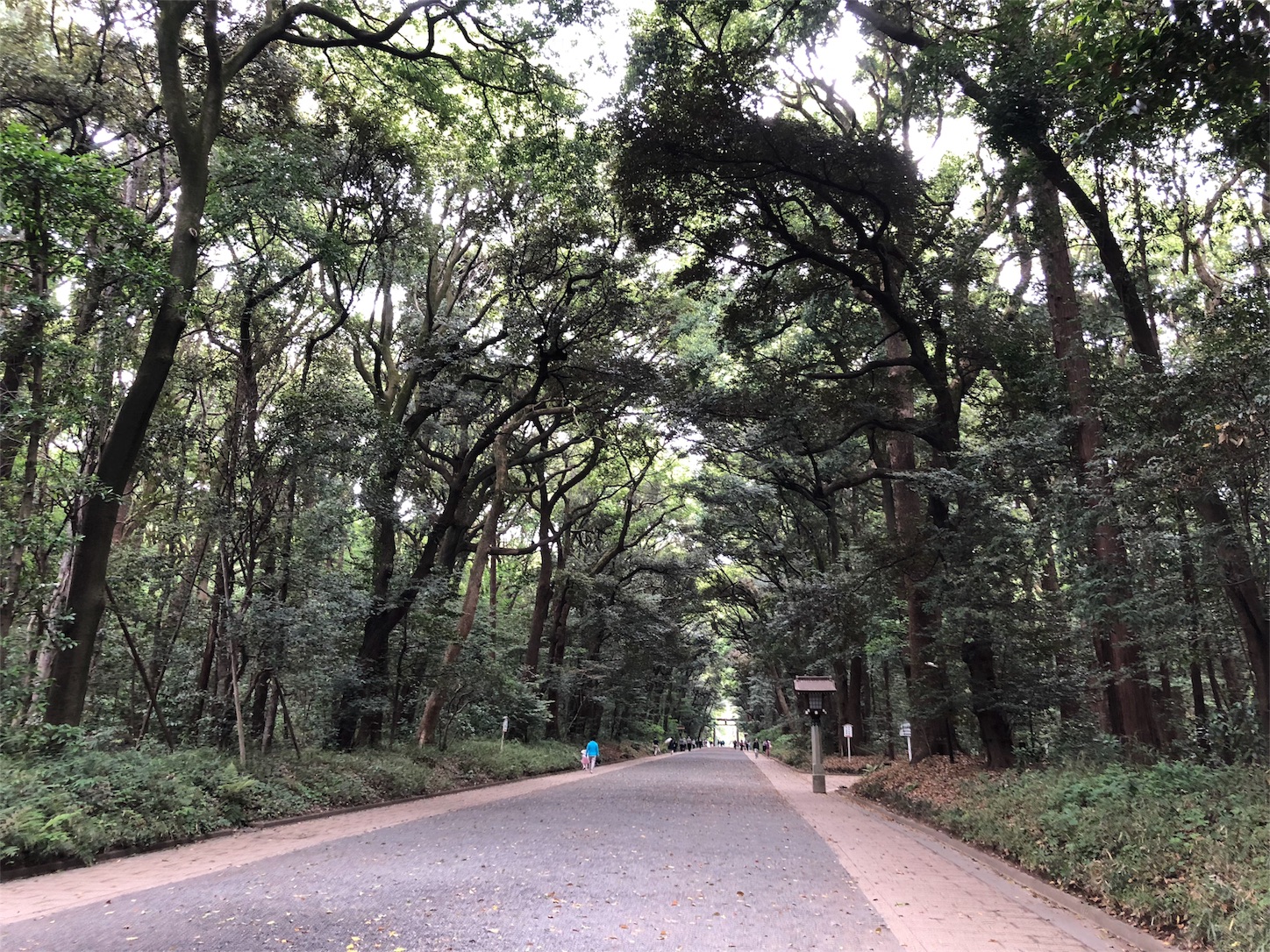 f:id:crystal0207:20180424193139j:image f:id:crystal0207:20180424193139j:image