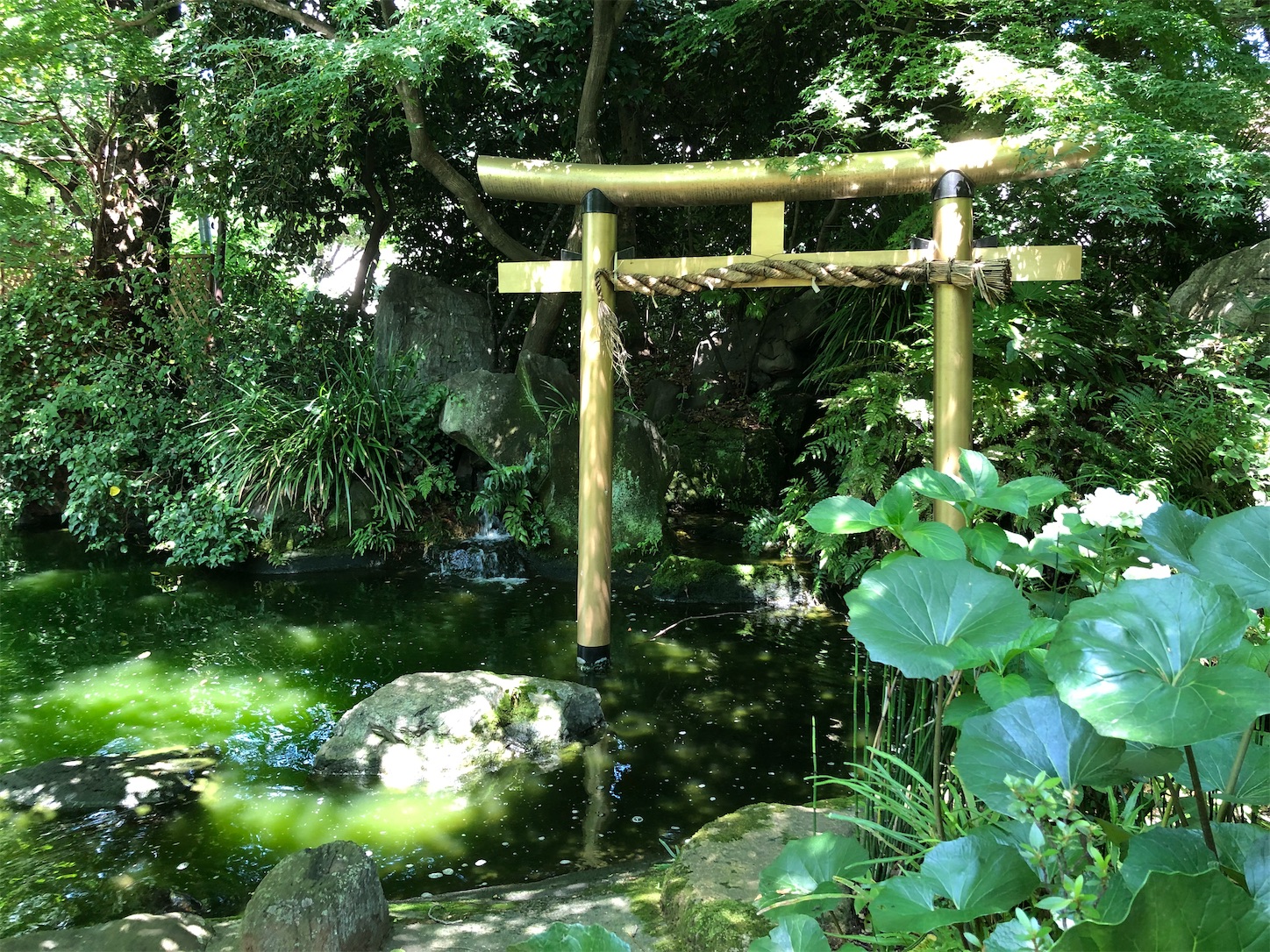 f:id:crystal0207:20200702160907j:image f:id:crystal0207:20200702160907j:image