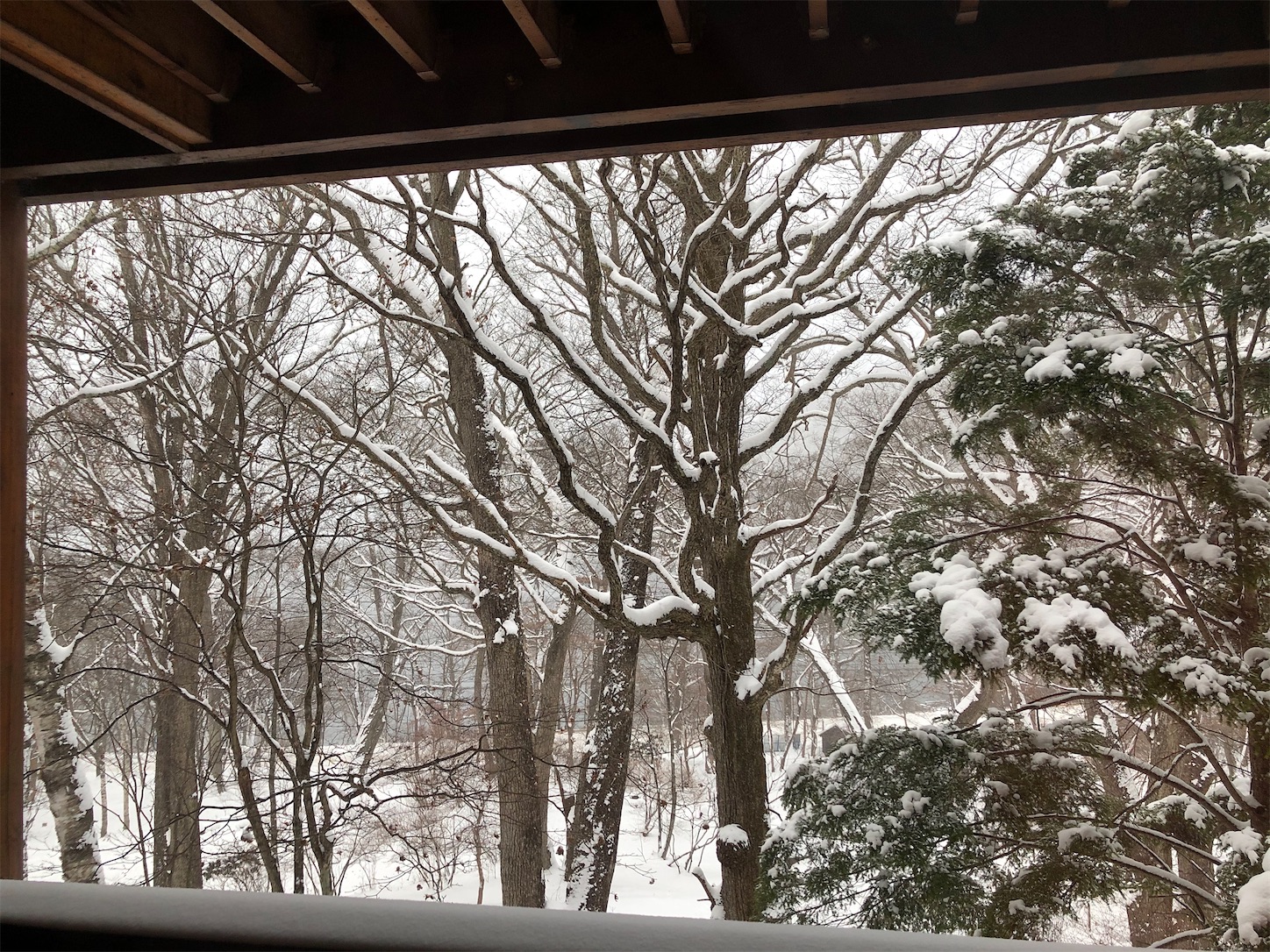 f:id:crystal0207:20201217182929j:plain