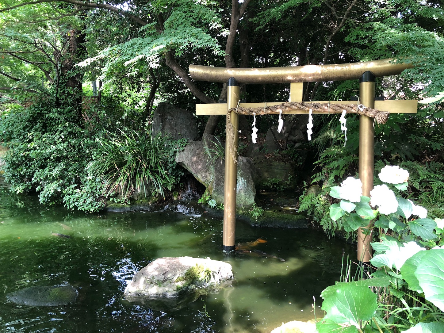 f:id:crystal0207:20210618161349j:image