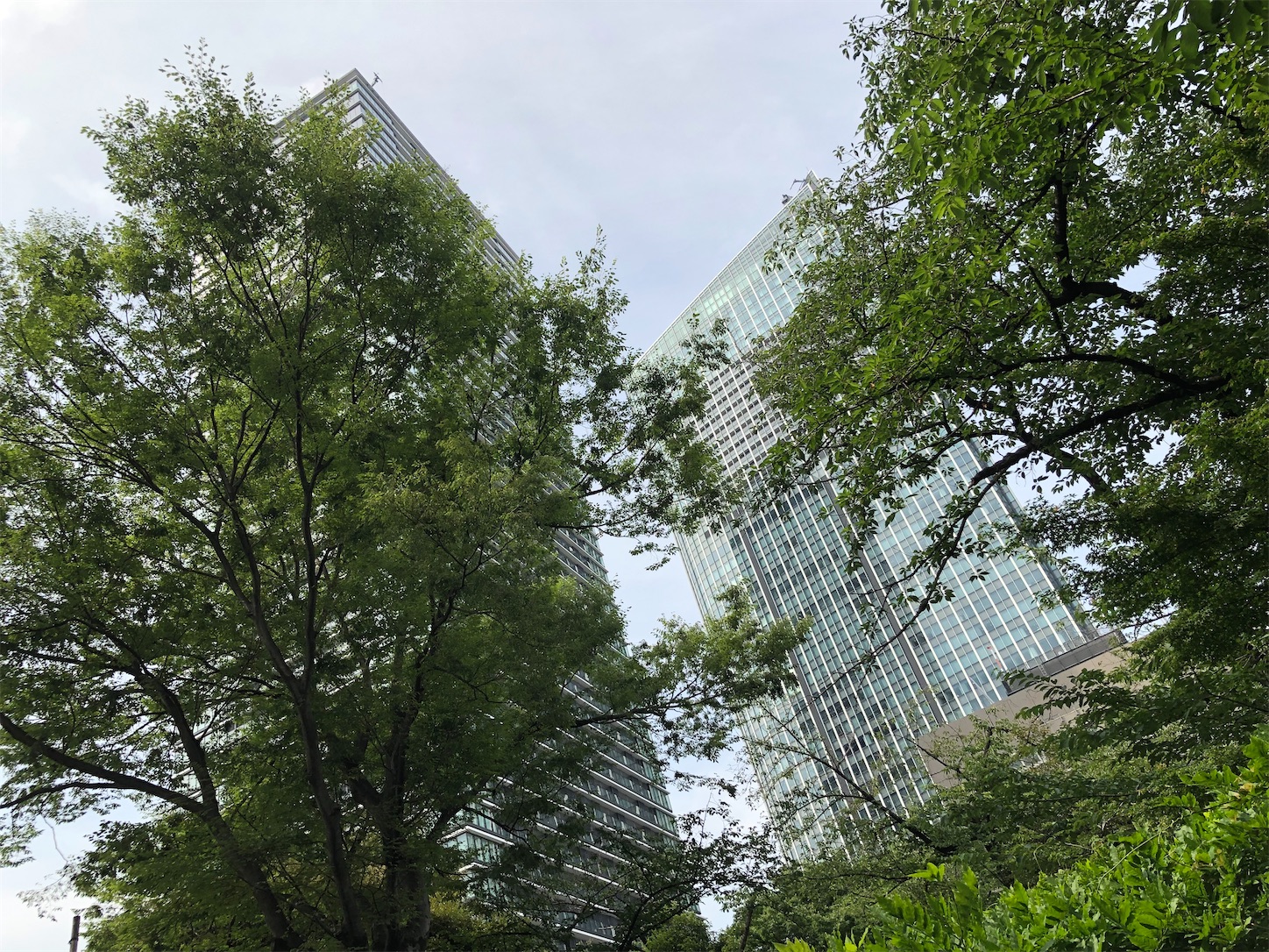 f:id:crystal0207:20210618161419j:image