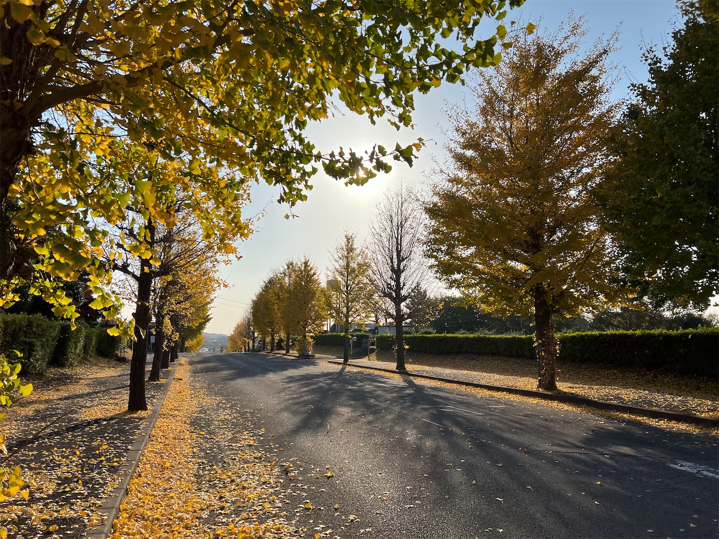 f:id:crystal0207:20211120172814j:plain