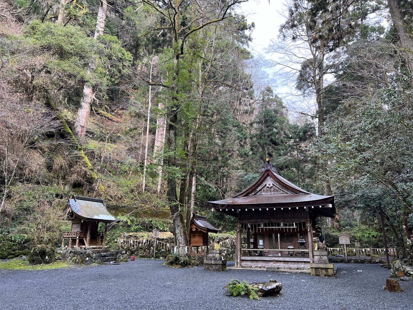 f:id:crystal0207:20211222163010j:image