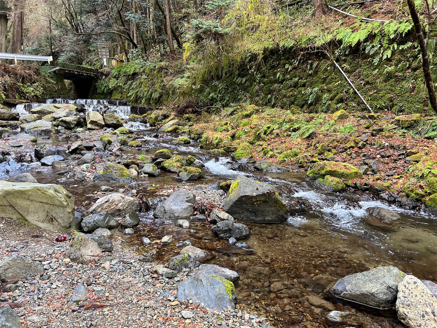 f:id:crystal0207:20211222163024j:image