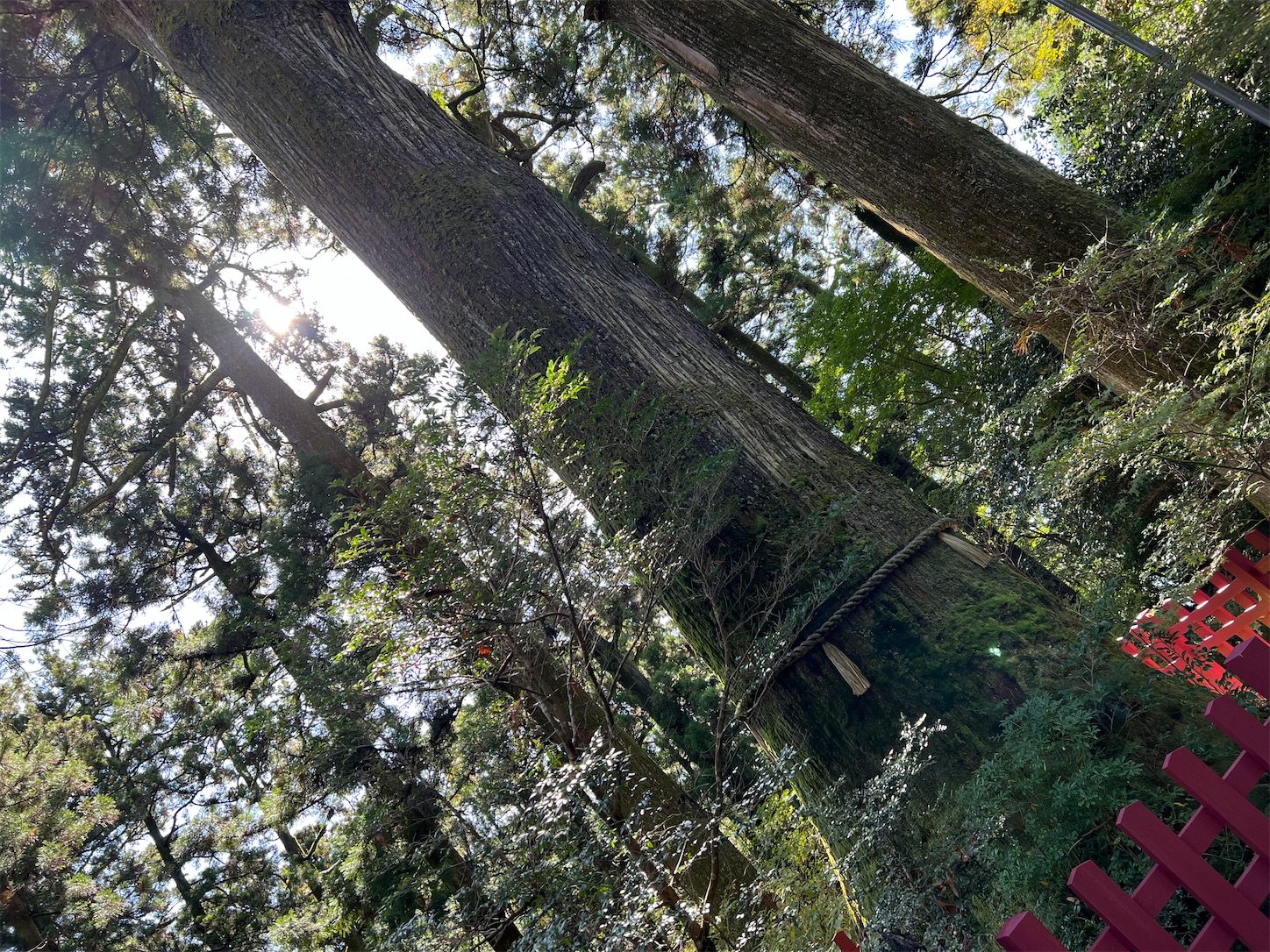 f:id:crystal0207:20220604195218j:image f:id:crystal0207:20220604195218j:image