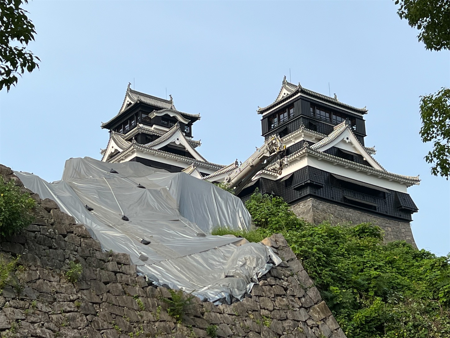 f:id:crystal0207:20220609093809j:image f:id:crystal0207:20220609093809j:image