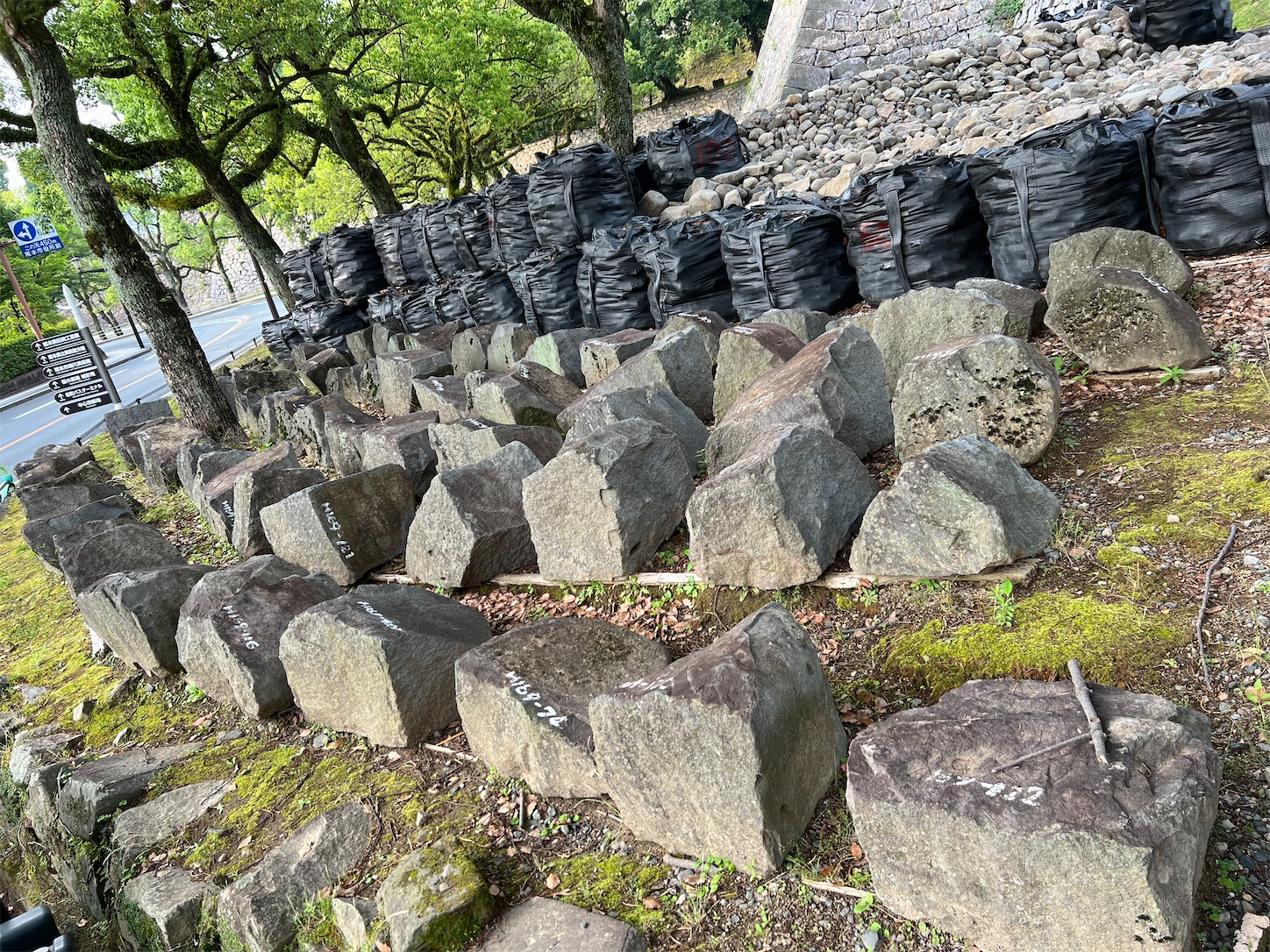 f:id:crystal0207:20220609093833j:image f:id:crystal0207:20220609093833j:image