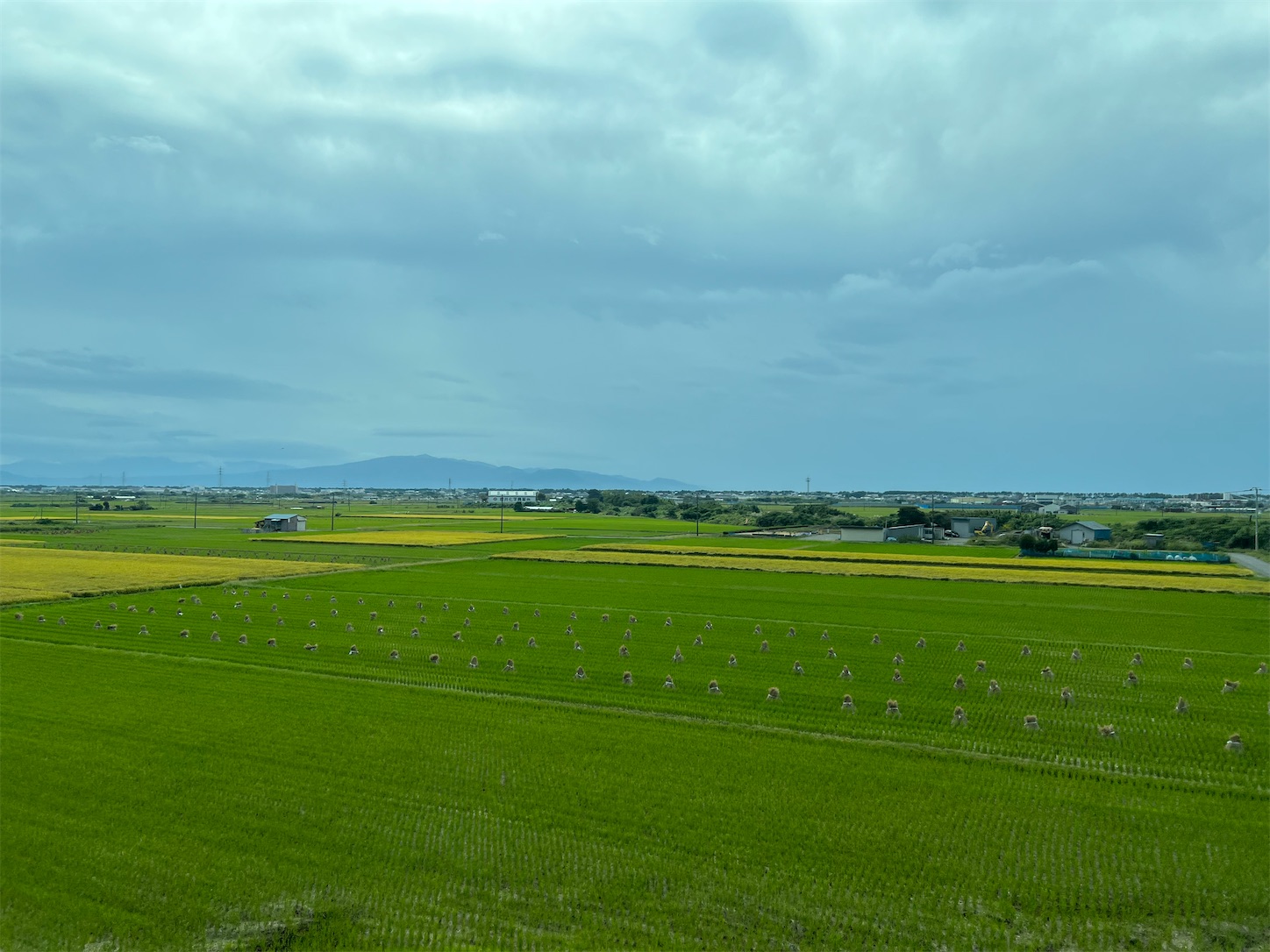 f:id:crystal0207:20221017180804j:image