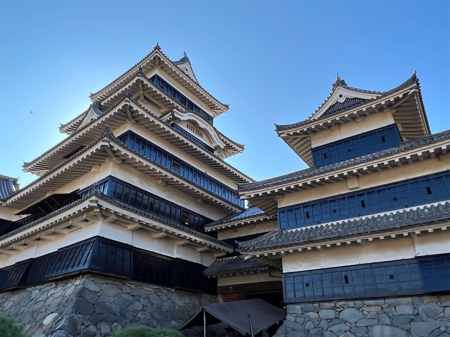 f:id:crystal0207:20221116175527j:image