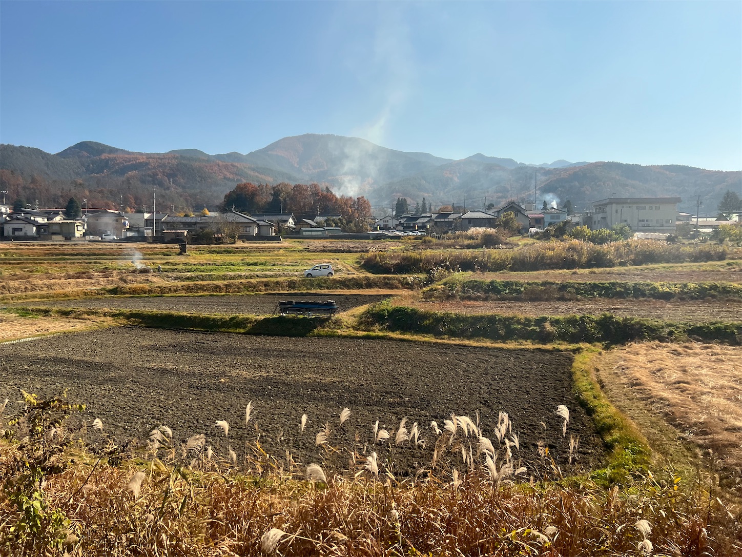 f:id:crystal0207:20221116175531j:image