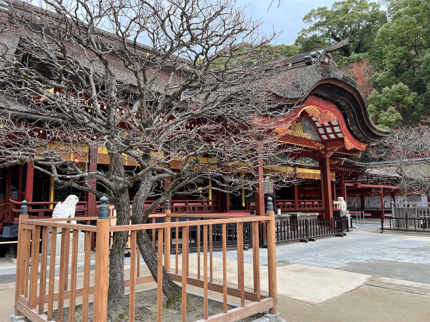 f:id:crystal0207:20221216141720j:image f:id:crystal0207:20221216141720j:image