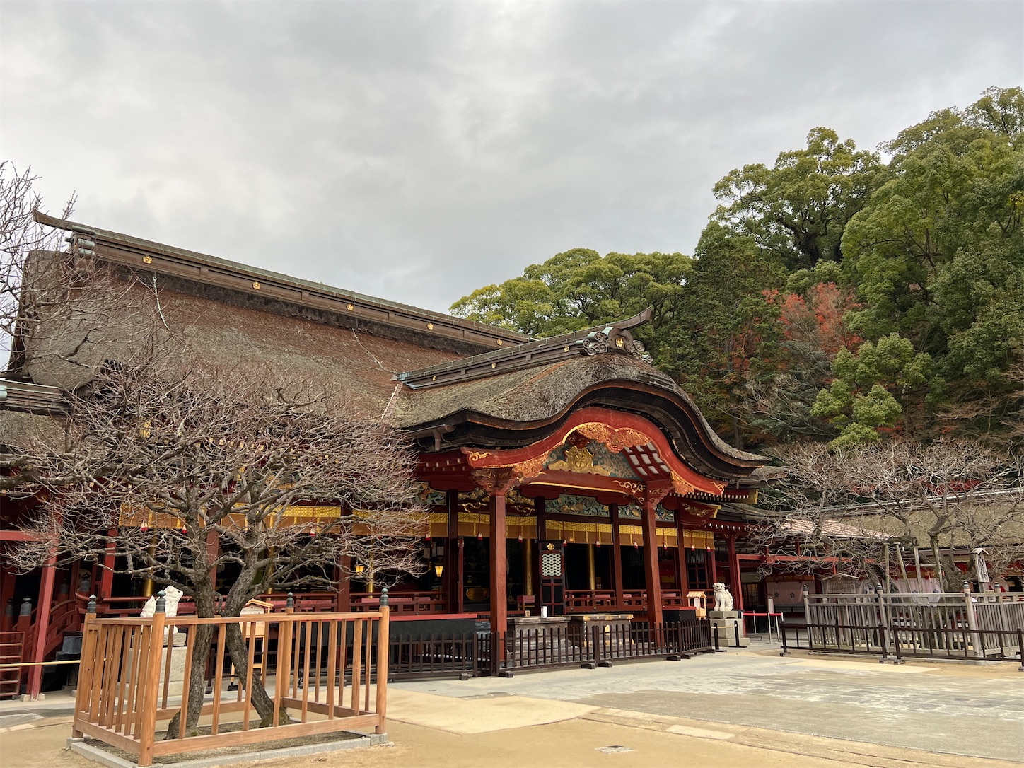 f:id:crystal0207:20221216141723j:image f:id:crystal0207:20221216141723j:image