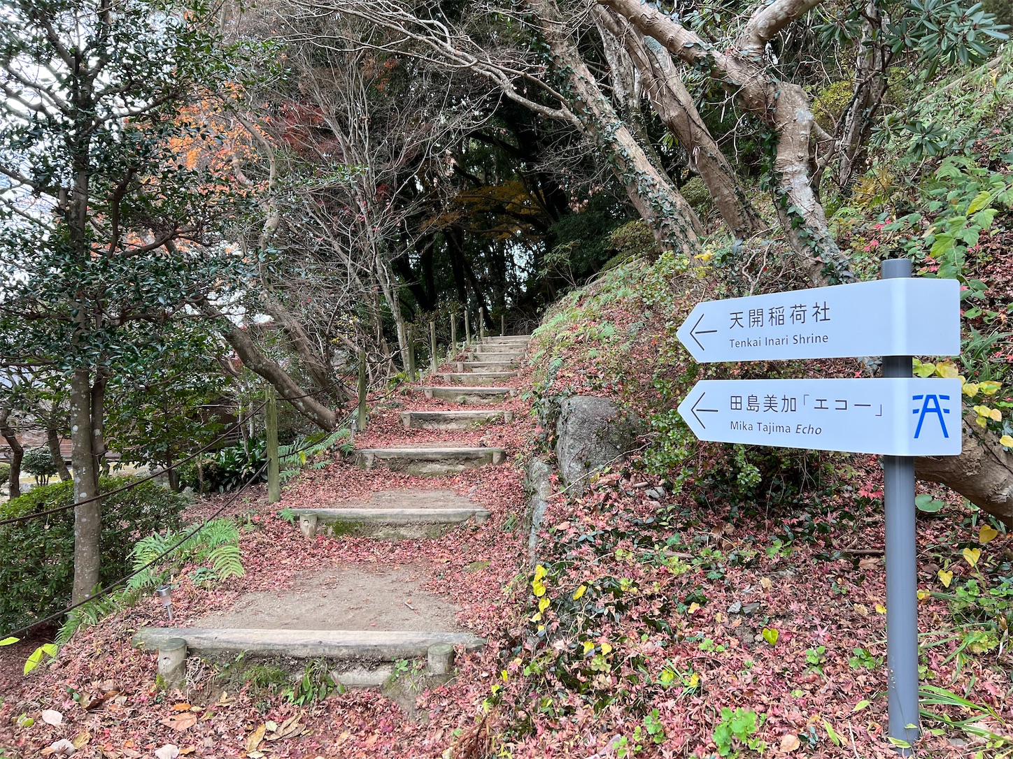 f:id:crystal0207:20221216141738j:image f:id:crystal0207:20221216141738j:image